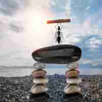 html表﻿单‌设﻿计‍代﻿码​